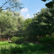 인천 가볼만한곳 인천대공원 인천수목원 주말 나들이 힐링여행