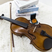 바이올린 추천, 전통적이며 현대적인 스텐터 1542!