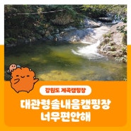 강원도 계곡캠핑장 강릉에서 가장 좋은 야영장