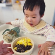 11개월 후기 이유식 아기 낫또 비빔밥 간단한 아침 메뉴