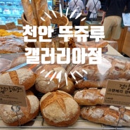 천안 대표빵집 뚜쥬루갤러리아백화점센텀시티점