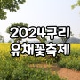 2024 구리유채꽃축제 기본정보 주차 축제기간 서울근교 아이와 갈만한곳