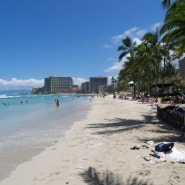 하와이 여행+한 달 살기 계획!
