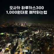 오사카 하루카스 300 전망대 입장권 할인 1천원대로 예약하는법 내돈내산