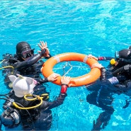 세부 체험다이빙 강습 펀다이빙 업체 추천 퍼플오션