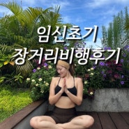 [미국 임신 다이어리] 임신 초기 장거리 비행기 4번 탈 수밖에 없던 나의 이야기