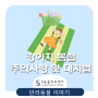 강아지 봄철 산책 시 주의사항 및 대처법[위례/북위례/감일지구/거여동/하남/마천동 동물병원 위례s동물의료센터]