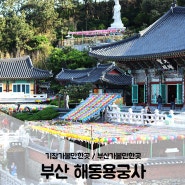 기장가볼만한곳/ 한국에서 가장 아름다운 절 부산해동용궁사 주차 입장료 절경까지
