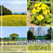 서울근교 구리한강시민공원 유채꽃축제 주차 대중교통정보