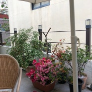 전포 까미노 유럽풍 테라스가 있는 카페 후기