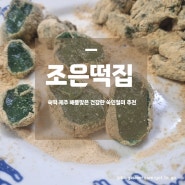 떡주문 조은떡집 쑥떡 제주 해풍맞은 건강한 쑥인절미 추천