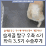 강아지 슬개골 탈구 수술 후기 / 서울 정형외과 전문 24시 동물병원