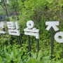서울대공원 산림욕장 초록 초록 시원한 걷기 좋은 숲길
