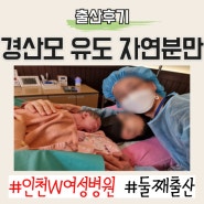 [출산후기] 인천 W여성병원 경산모 38주 유도분만 자연분만 더블유 둘째