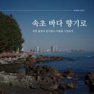 [속초] 바다 향기로