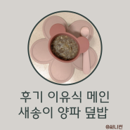 후기 이유식 한그릇 요리 새송이 양파 덮밥
