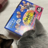 코스트코 고양이 간식 사료 /츄르비 참치 버라이어티