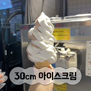 [서울대입구] 30cm 아이스크림 셀프아이스크림 도전