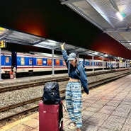 기차로 떠나는 해외여행지 추천 베트남 사파에서 하노이 슬리핑 기차 여행 라오까이역