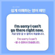 [쉽게 이해하는 영어 패턴] I'm sorry I can't go there right now. / I'm sorry I can't / ~할 수 없어서 죄송합니다