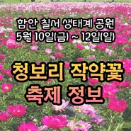 함안 엄마랑 꽃놀이 다녀온 후기 축제정보 <칠서 생태공원 청보리 작약 축제>