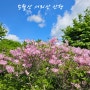 철쭉과 신록 능선이 아름다운 5월의 산 서리산 산행