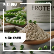 식물성 단백질 식품 효능 및 간단 섭취법