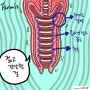 비비브 질수축 레이저 효과 후기 알고 싶어