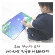 아기영어노출 바다나무 잉글리시 유아영어책추천