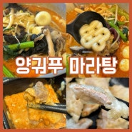 대전 마라탕 맛집 유성온천역 양궈푸 마라탕 방문후기
