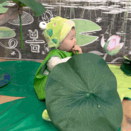 248일, 8개월 아기 개구리의 연잎먹방