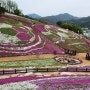 경남 산청 제5회 꽃잔디 축제 산청박물관 생초국제조각공원