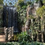거제도, 국내 최대 규모의 초록세상 거제식물원 정글돔