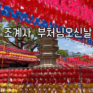 서울 조계사연등 부처님오신날