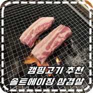 [캠핑고기] 비알비에프앤비 솔트에이징 삼겹살 숯불고기로 추천해요 : )