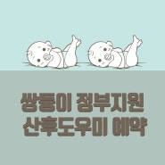 [안양,과천,군포] 쌍둥이 정부지원 산후도우미 업체 선정 후 미리 예약! (신청방법 및 꿀팁)