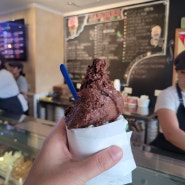 [아르헨티나/엘 칼라파테] 엘 칼라파테 3대 아이스크림 맛집 중 최고 Acuarela (아꾸아렐라)