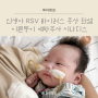 신생아 RSV 바이러스 증상 전염 이른둥이 아기 예방주사 시나지스