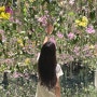[20240324-20240327] 도쿄 벚꽃여행이 식도락 여행이 되어버린 것에 관하여_1