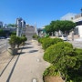 서울로7017 산책로 _ 따뜻한 햇살과 꽃들이 주는 힐링