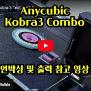 [버섯] 애니큐빅 멀티컬러 3D 프린터 Anycubic Kobra3 Combo 언박싱 및 출력 참고 영상