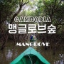 톤레삽 호수 - 맹글로브숲 + 캄보디아