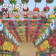 2024 부산 삼광사 연등축제 기본정보 주차 점등시간 연등회 기간 강아지 우천