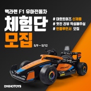 맥라렌F1 유아전동차 체험단 모집