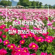 경남 함안 강나루 생태공원 칠서 청보리 작약 축제