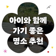 가정의달 기념, 인천광역시 아이들과 가기 좋은 명소 추천