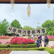 전남 여행 곡성 세계장미축제 섬진강 기차마을 꽃축제 5월 국내여행지