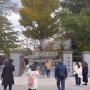 도쿄 여행 Part.4 / 계절에 따라 아름다운 정원을 볼 수 있는 장소 신주쿠 교엔