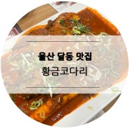 울산 달동 맛집, 막걸리무제한 공짜 황금코다리 달동점