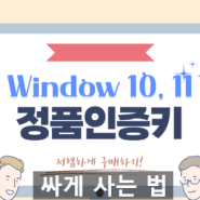 윈도우11 정품 인증키 저렴하게 구매하기 (Windows11 제품키 싸게 사는 법)